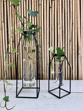 Load image into Gallery viewer, Propagation Stations, large and small, with Ivy