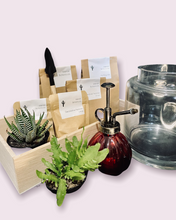 Load image into Gallery viewer, DIY Terrarium Kit, close up