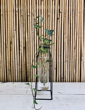 Load image into Gallery viewer, Propagation Station, large