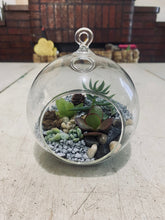 Load image into Gallery viewer, Succulent Bauble-Living Terrarium
