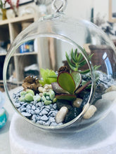 Load image into Gallery viewer, Succulent Bauble-Living Terrarium
