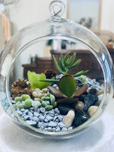 Load image into Gallery viewer, Succulent Bauble-Living Terrarium
