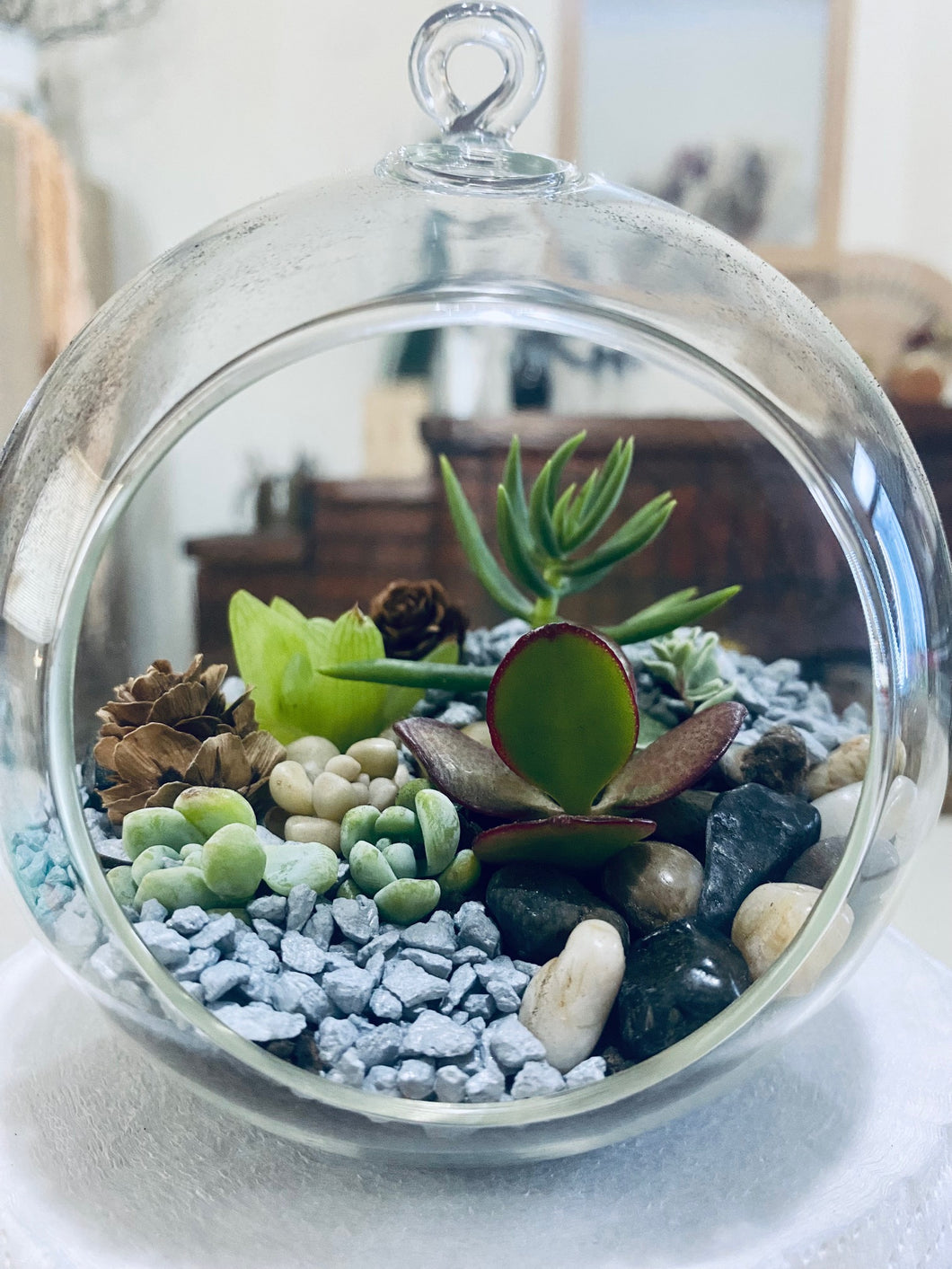 Succulent Bauble-Living Terrarium