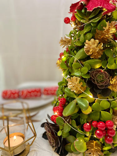 Succulent Christmas Centrepiece