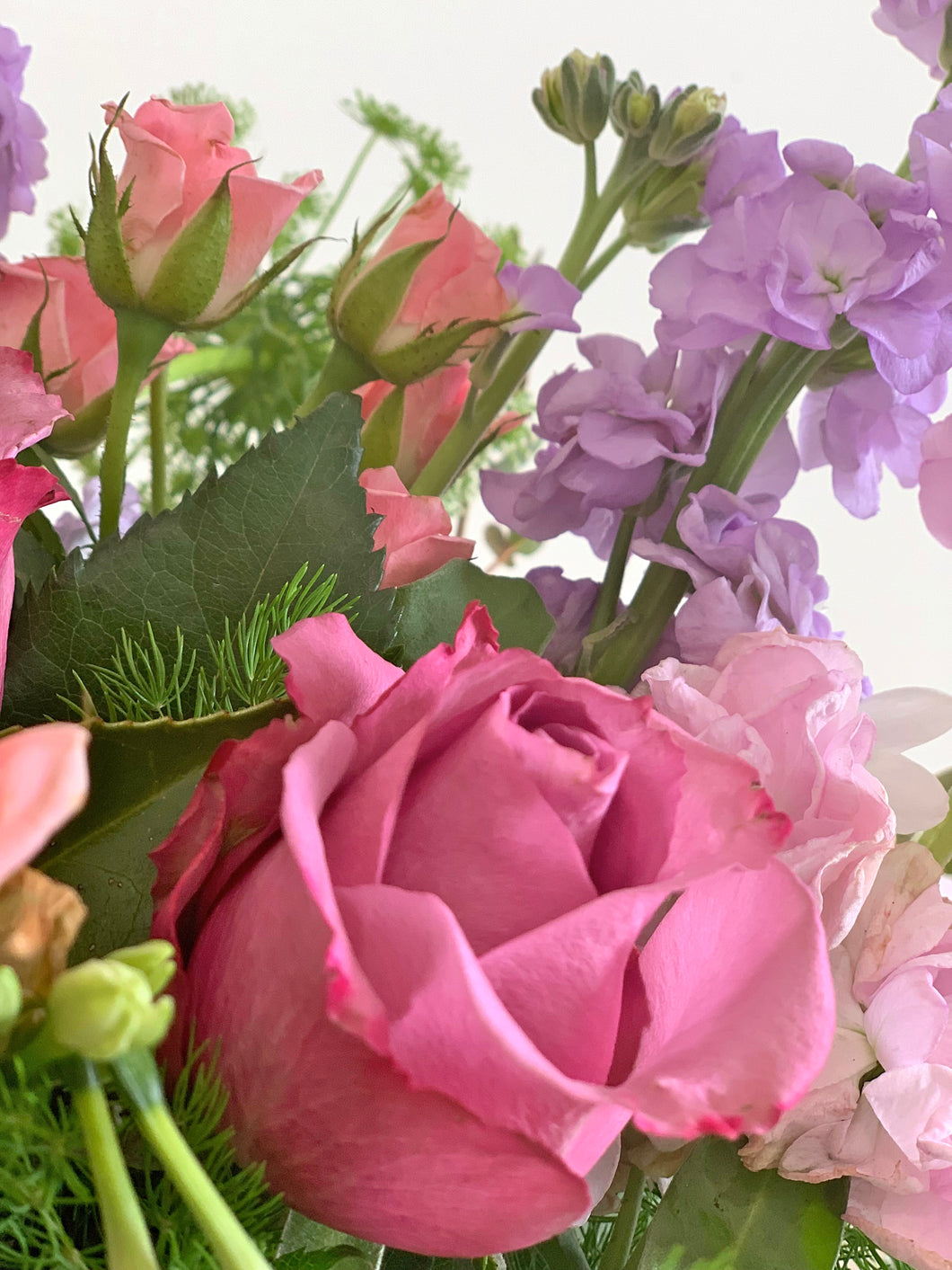 Soft-headed blooms add vibrant yet delicate colour to this stunning bouquet. to